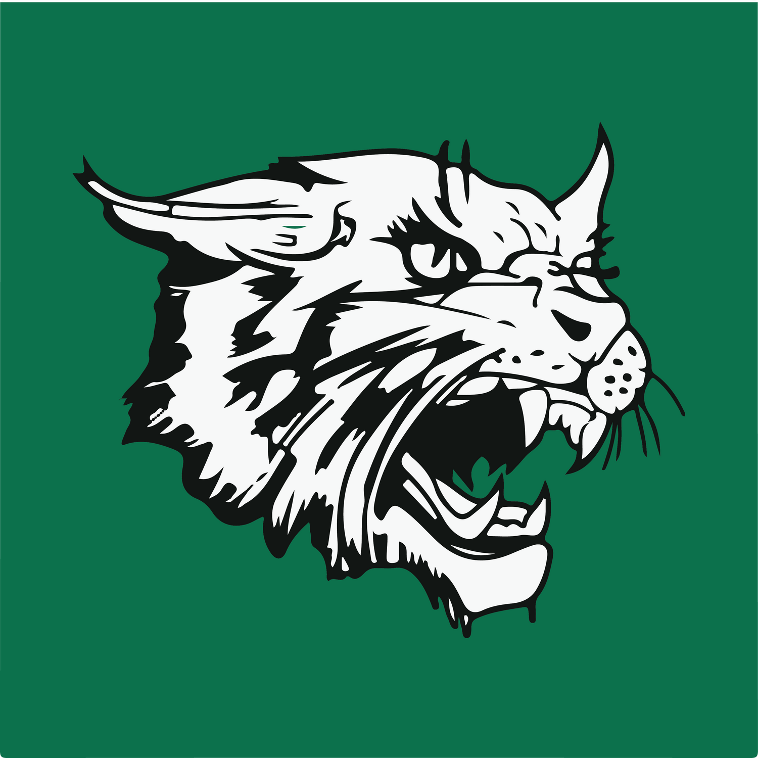 Arundel Cheerleading